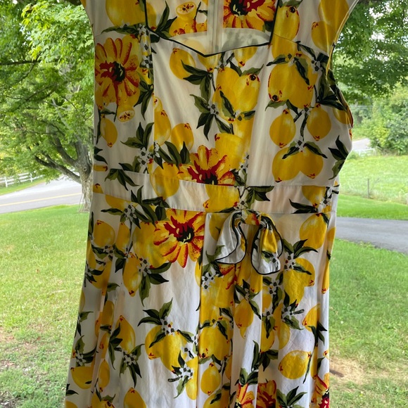 50’s Pin-up Lemon & Floral Dress🍋 - Picture 5 of 6